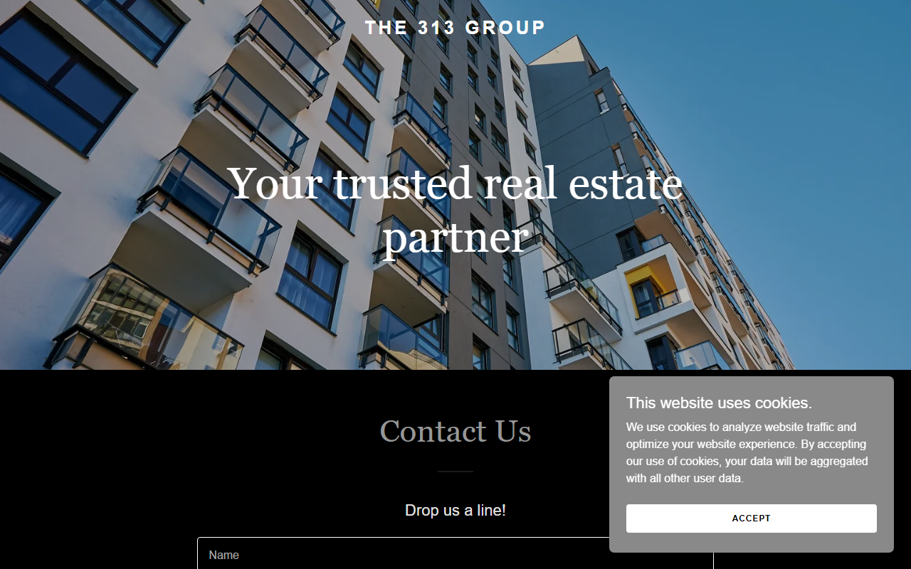 313company.com screenshot