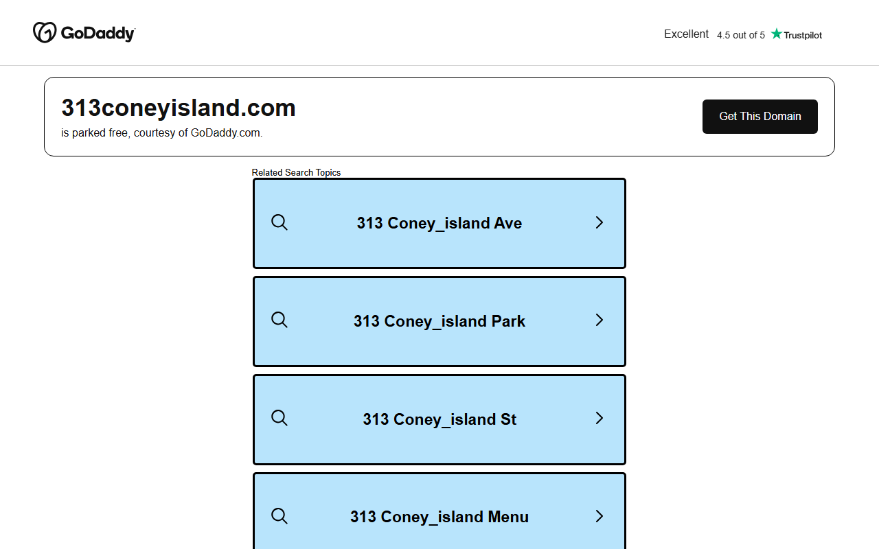 313coneyisland.com screenshot
