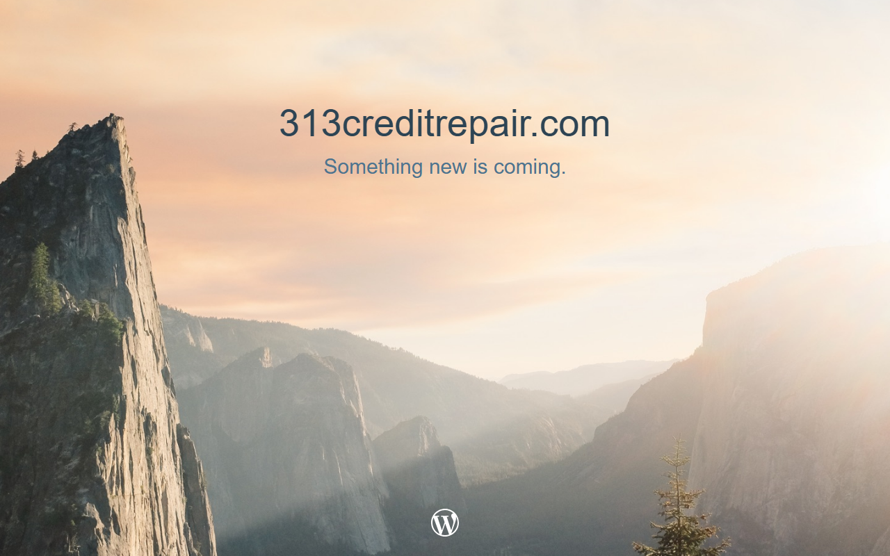313creditrepair.com screenshot
