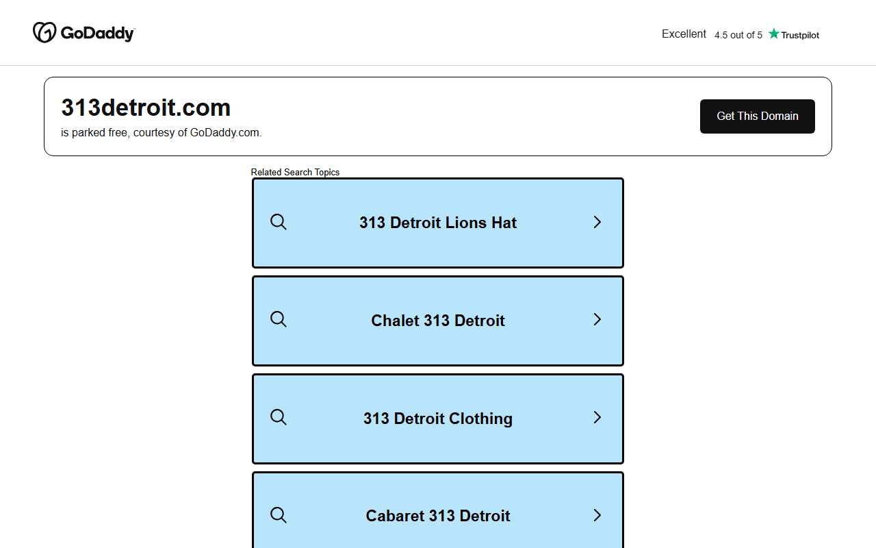 313detroit.com screenshot