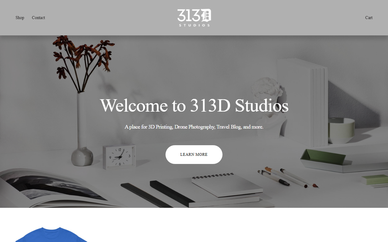 313dstudios.com screenshot