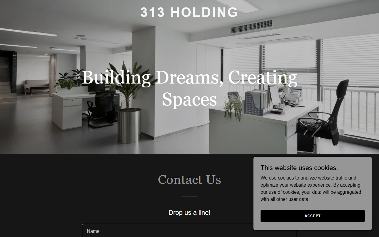 313holding.com screenshot