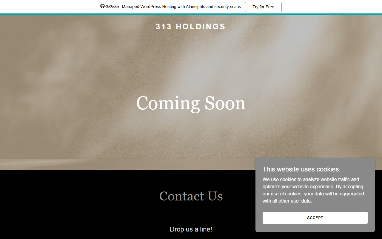 313holdings.com screenshot
