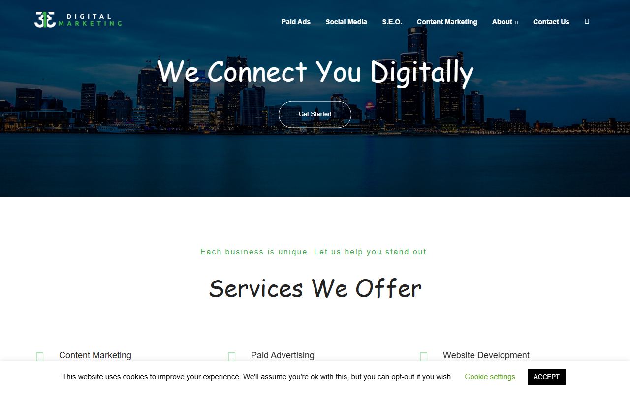 313marketing.com screenshot