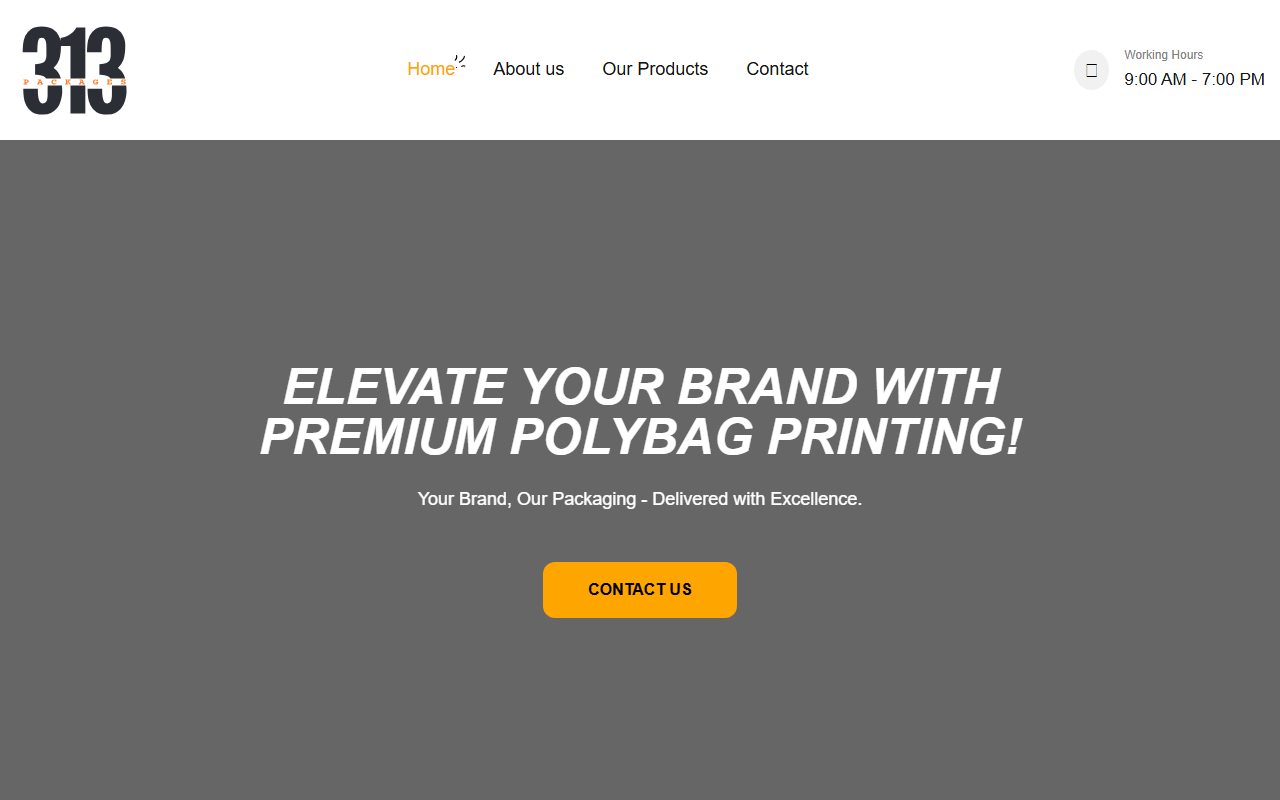 313packages.com screenshot