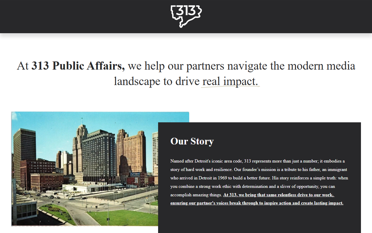 313publicaffairs.com screenshot
