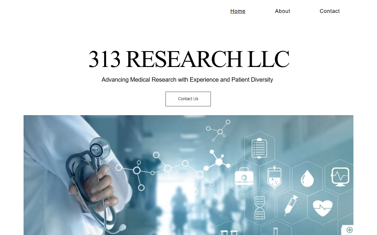 313research.com screenshot