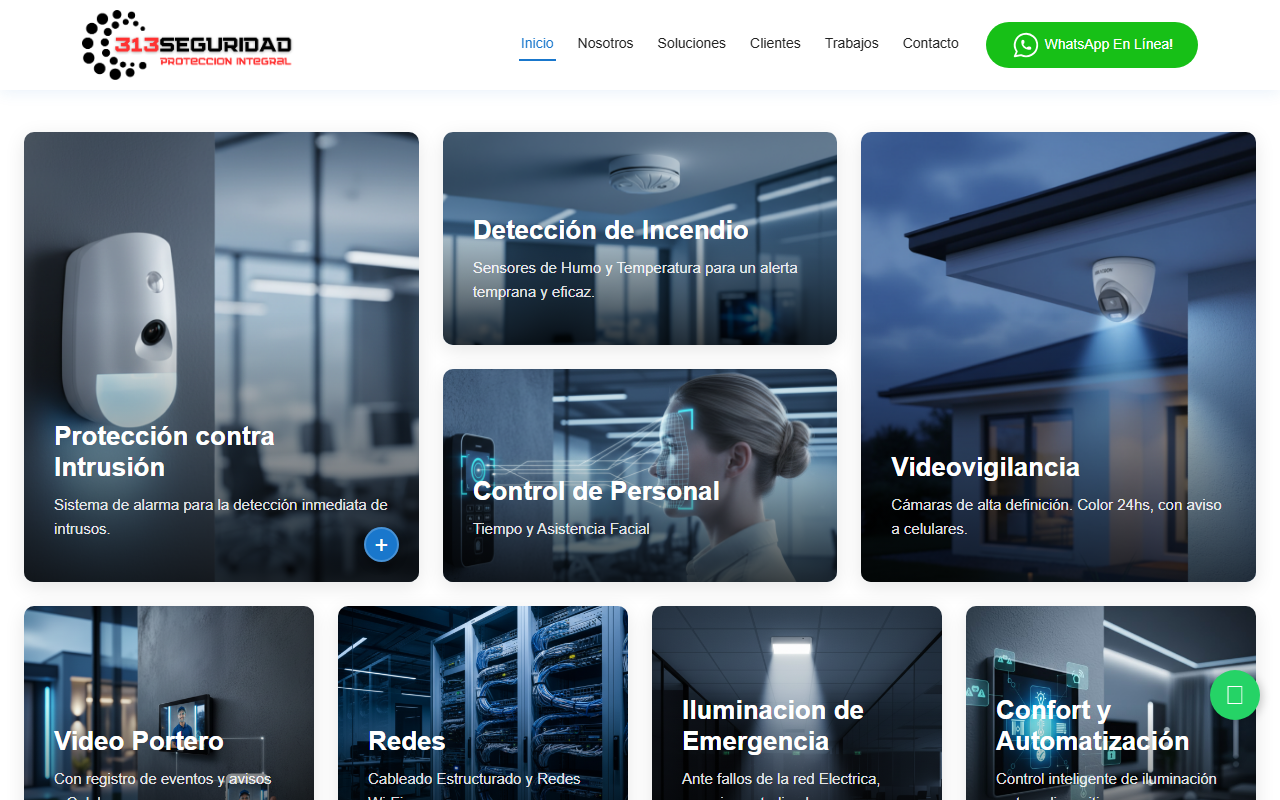 313seguridad.com screenshot