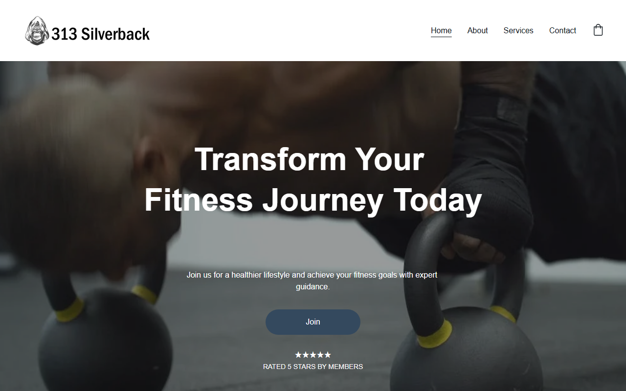 313silverback.com screenshot