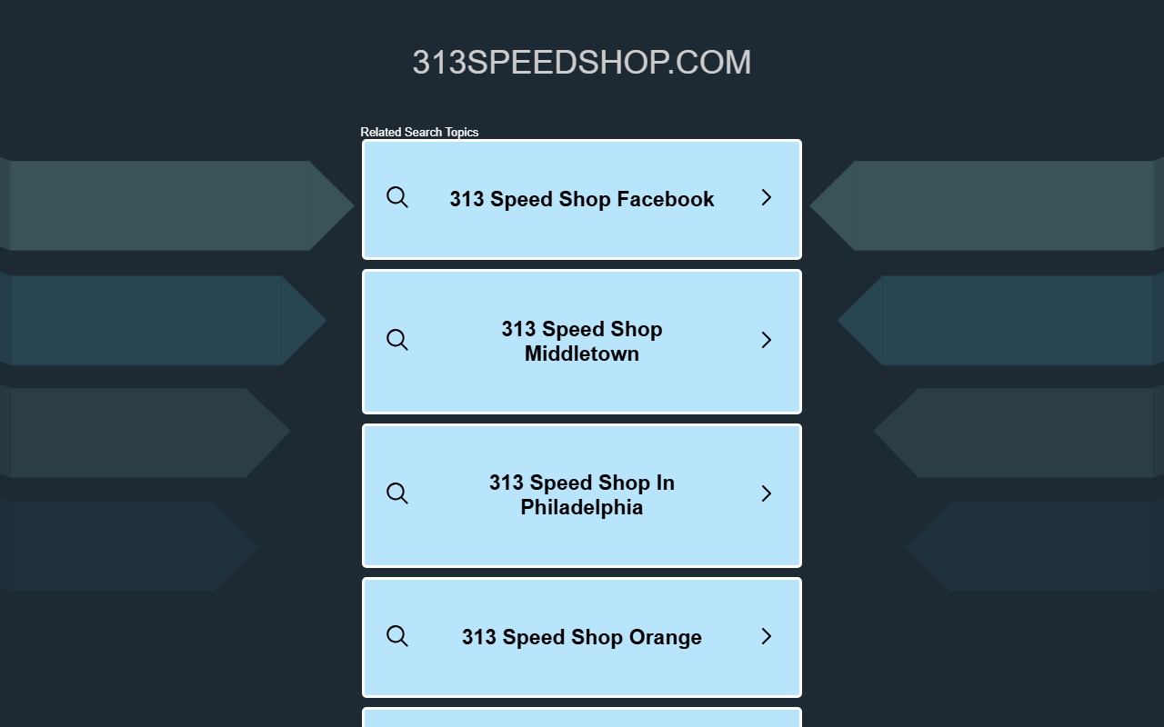 313speedshop.com screenshot