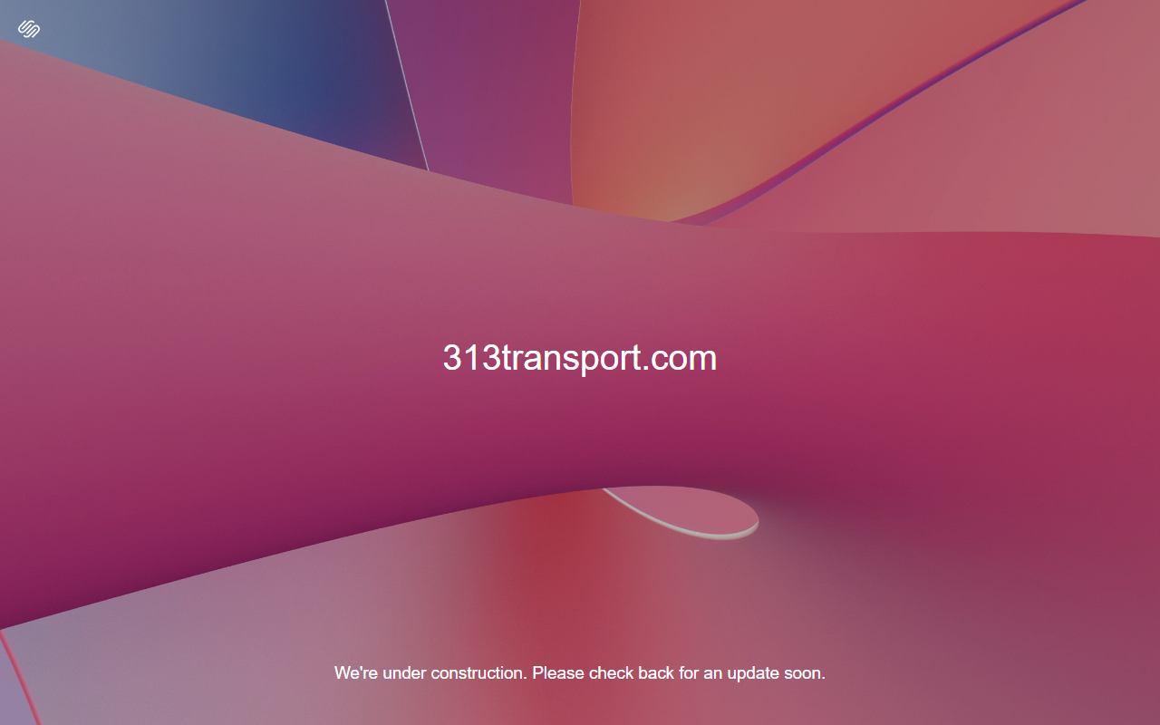 313transport.com screenshot