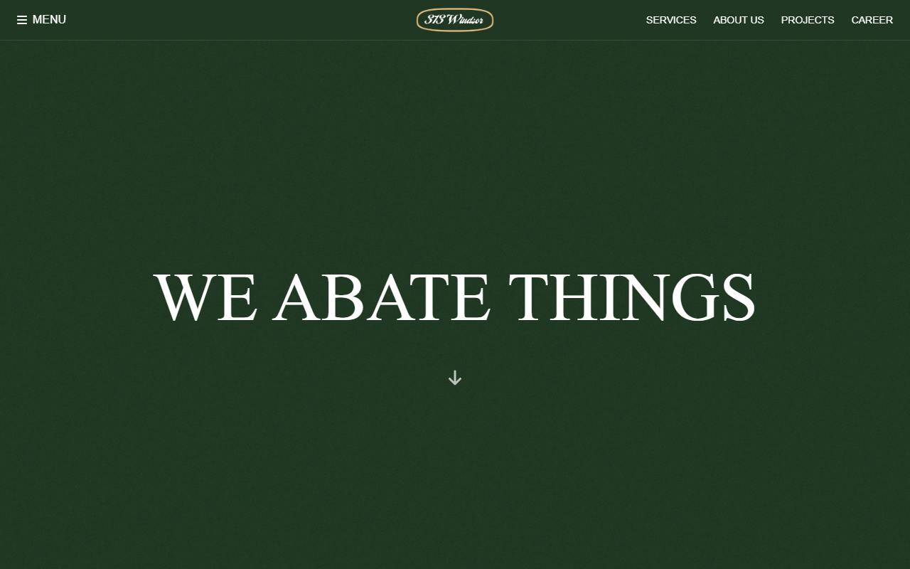 313windsor.com screenshot