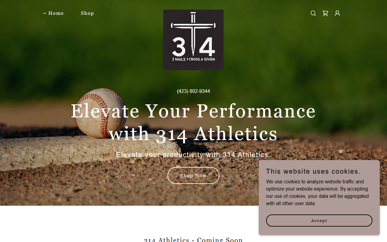 314athletics.com screenshot