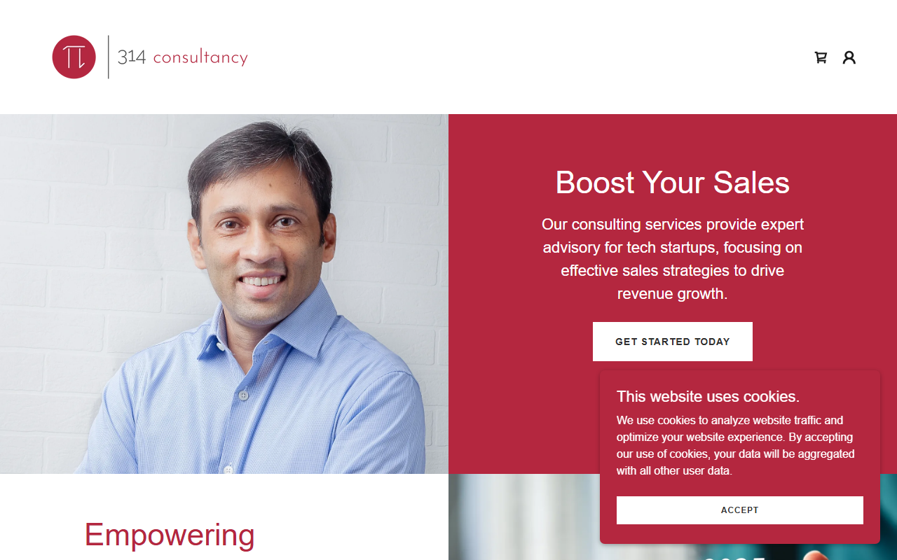 314consultancy.com screenshot