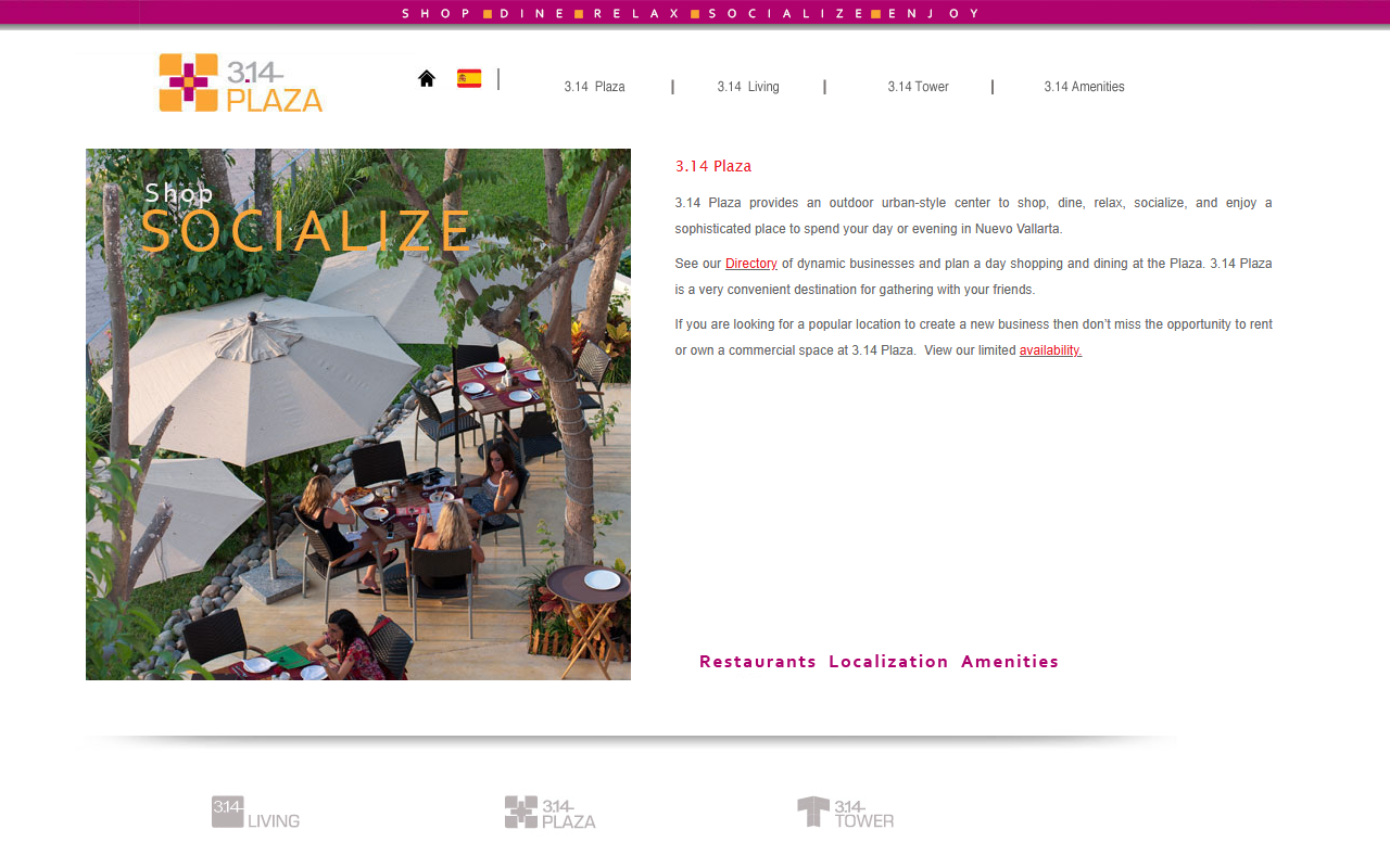 314nuevovallarta.com screenshot