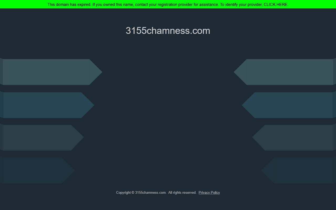 3155chamness.com screenshot