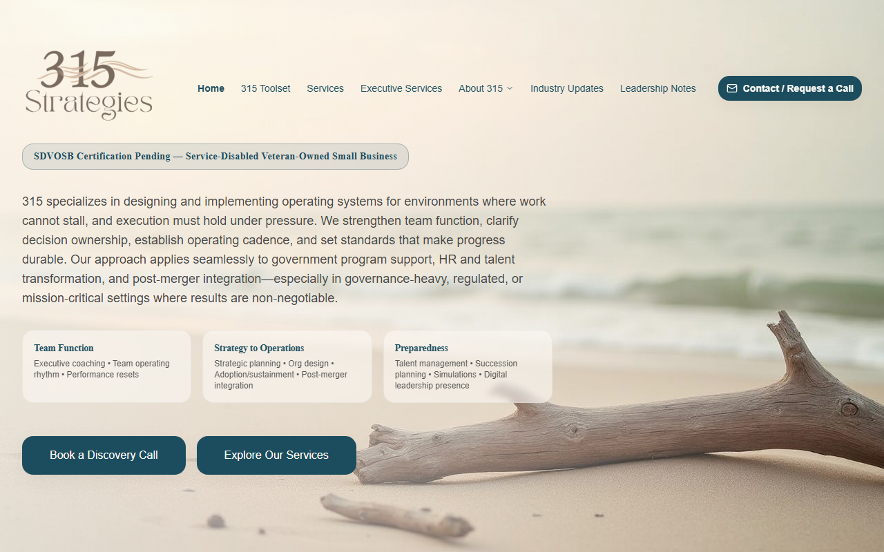 315strategies.com screenshot