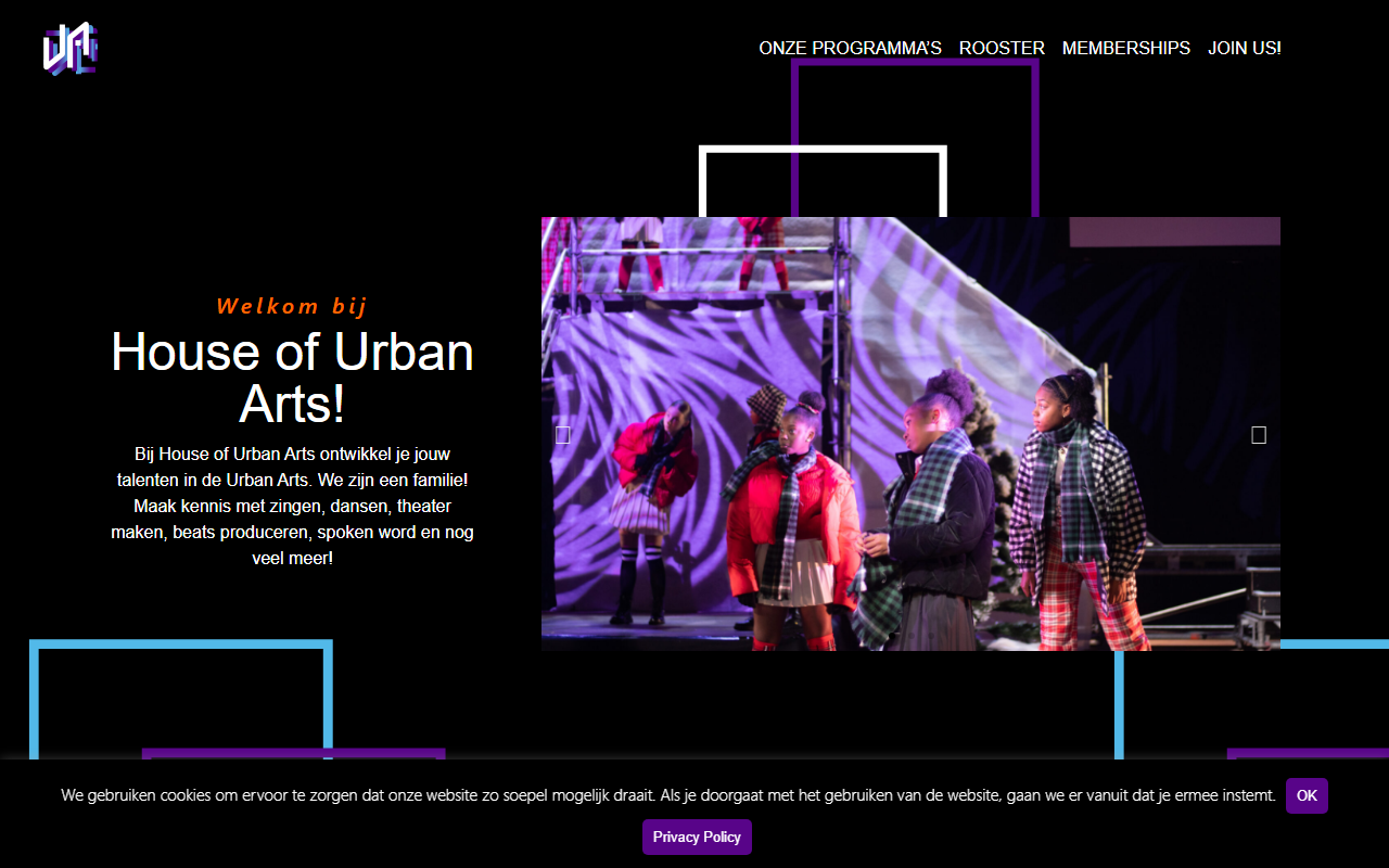 316academy.com screenshot