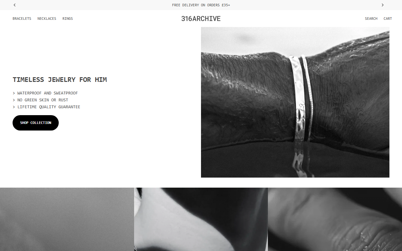 316archive.com screenshot