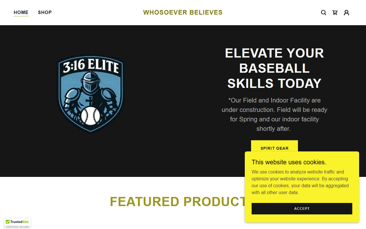316elitesports.com screenshot
