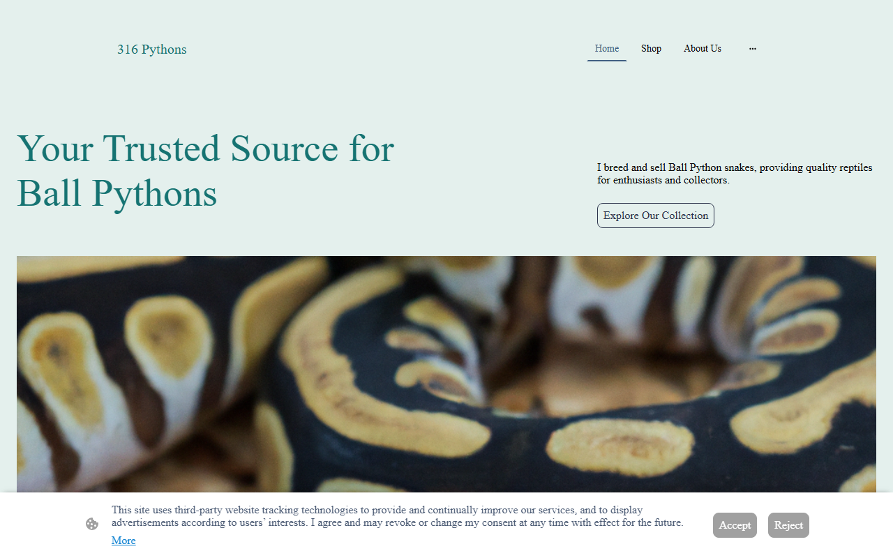 316pythons.com screenshot