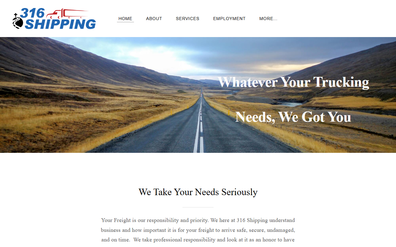 316shipping.com screenshot