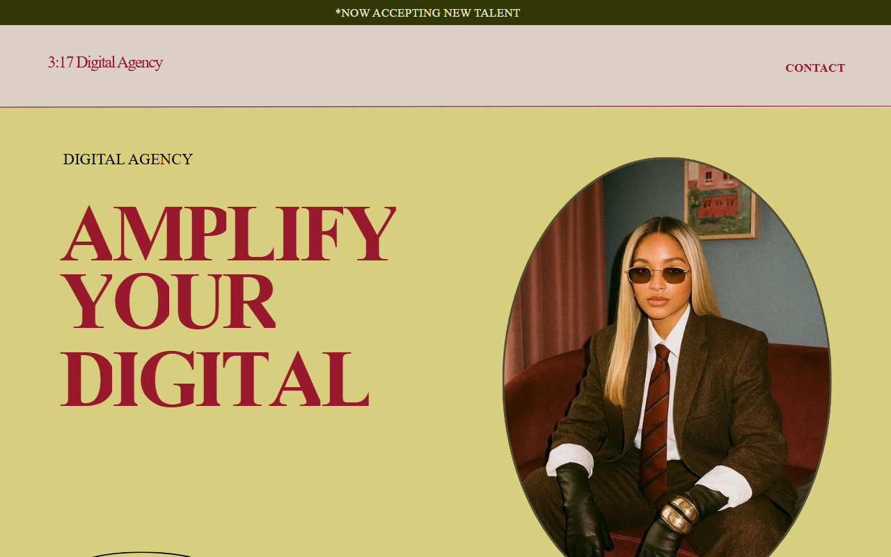 317digitalagency.com screenshot