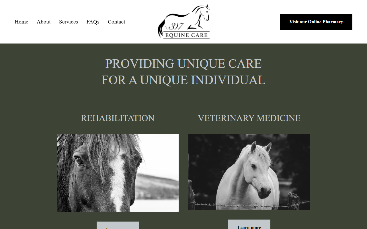 317equinecare.com screenshot