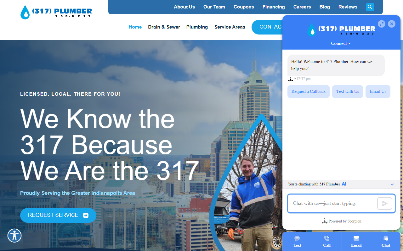 317plumber.com screenshot