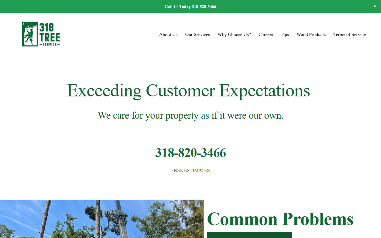 318treeservice.com screenshot