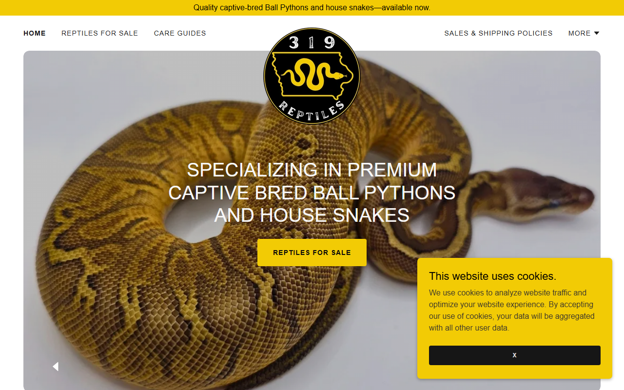 319reptiles.com screenshot
