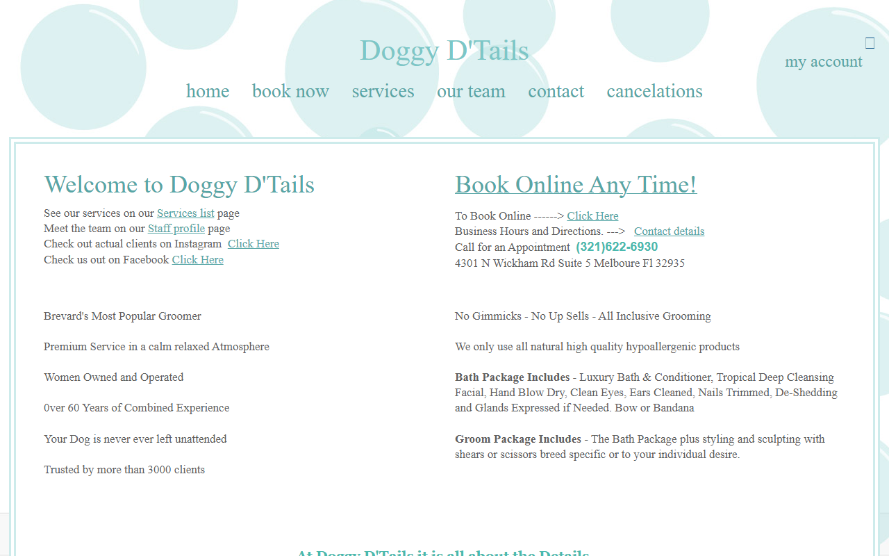 321doggydetails.com screenshot