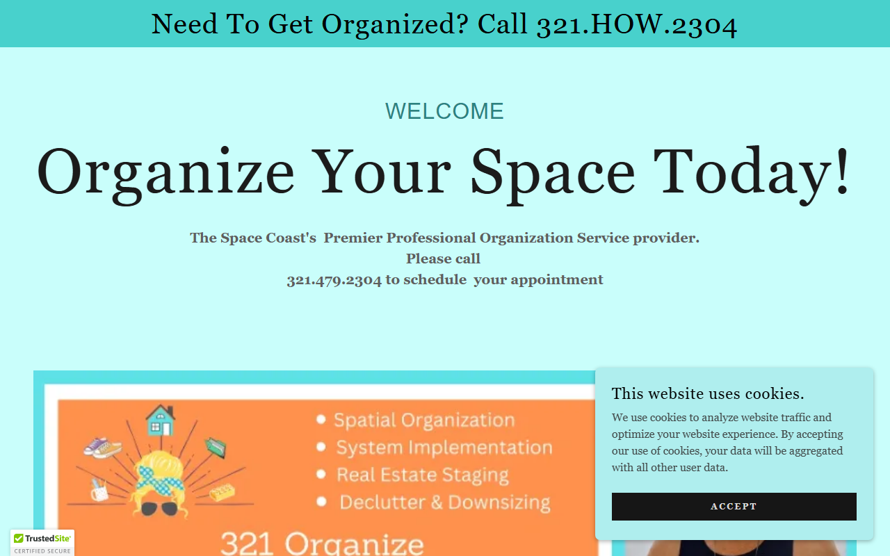 321organize.com screenshot