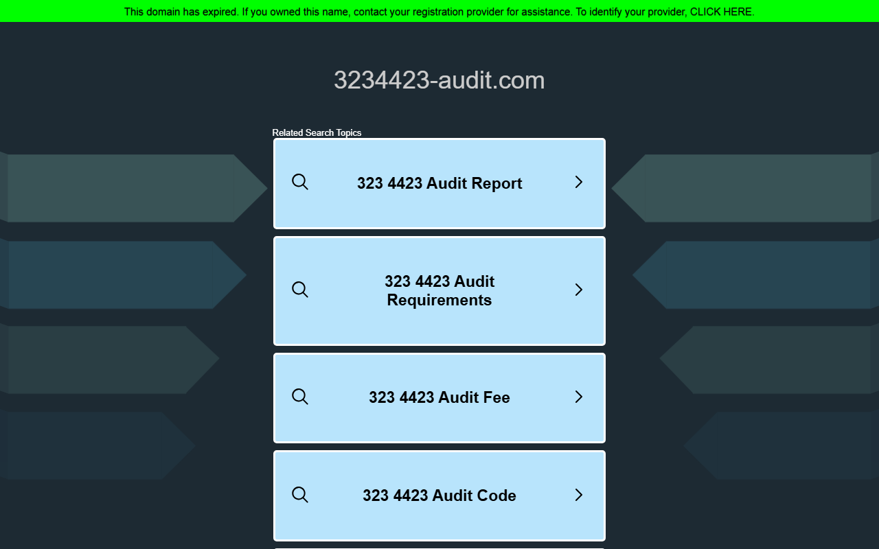 3234423-audit.com screenshot