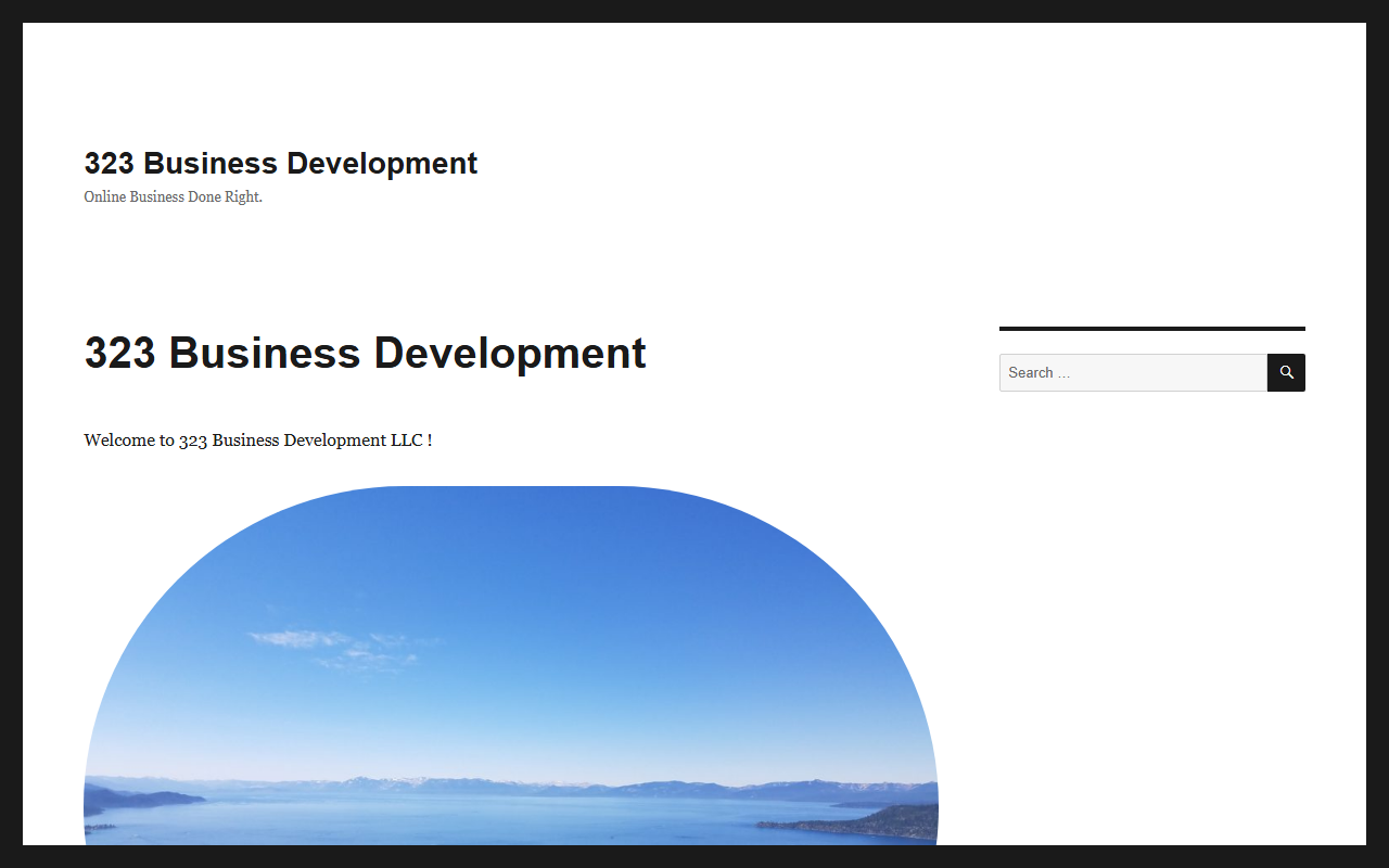 323business.com screenshot