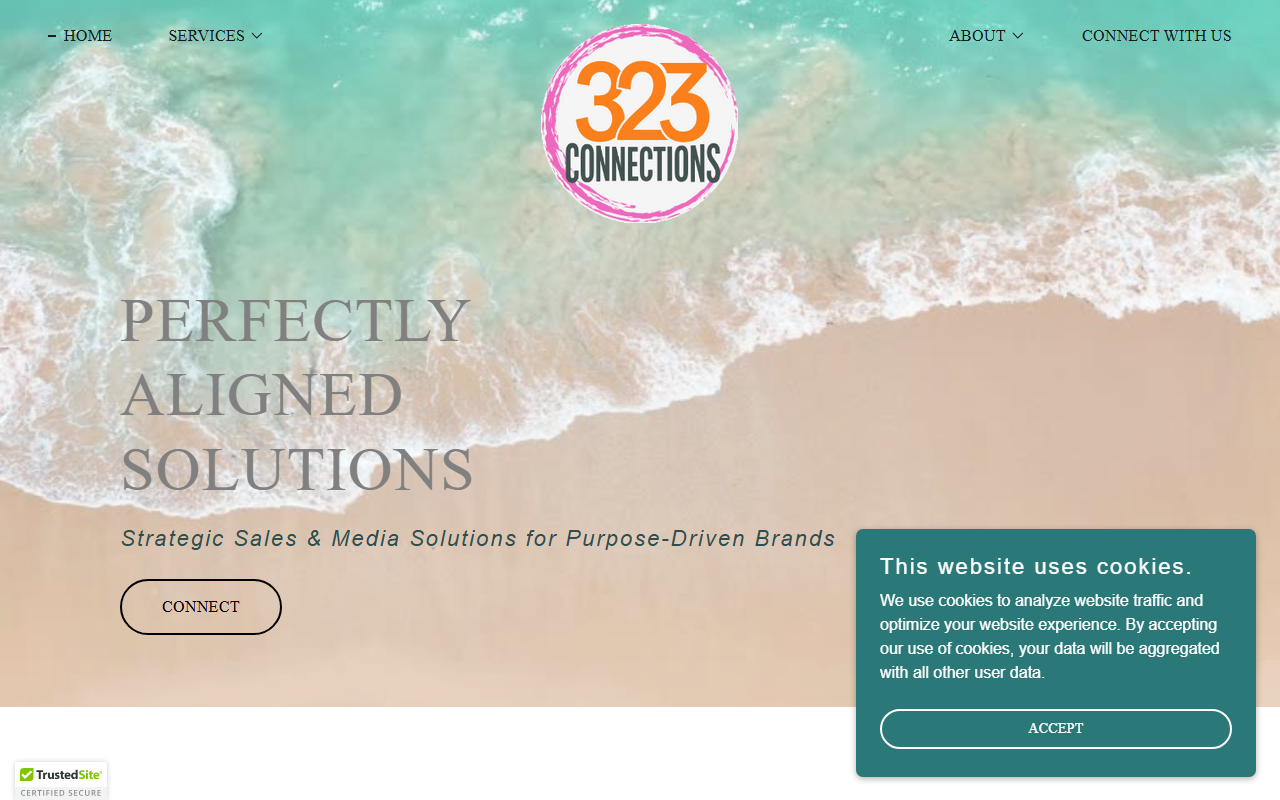 323connections.com screenshot