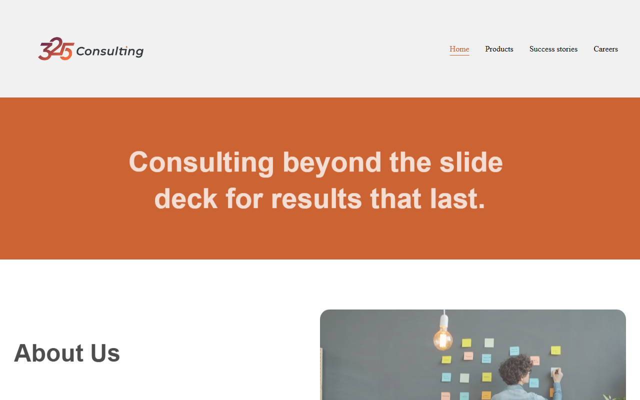 325consultingus.com screenshot