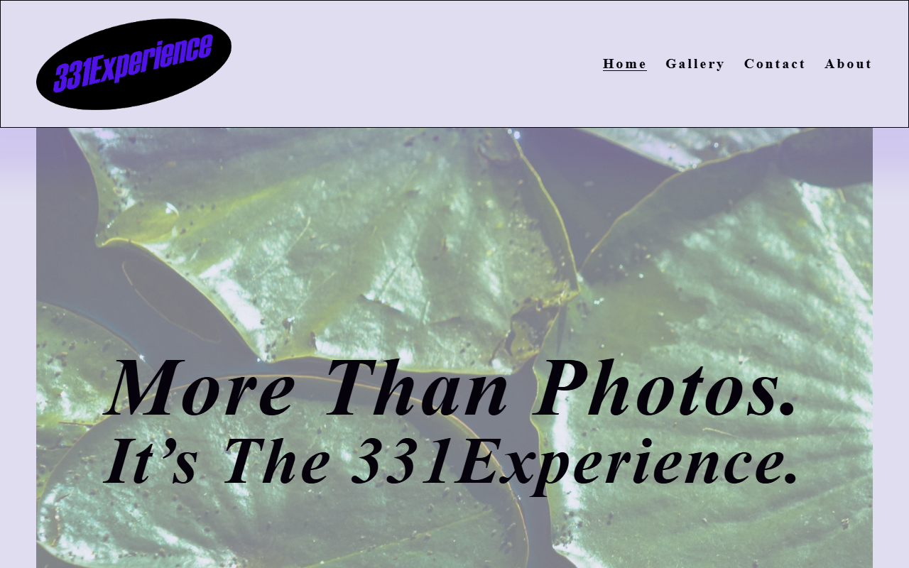331experience.com screenshot