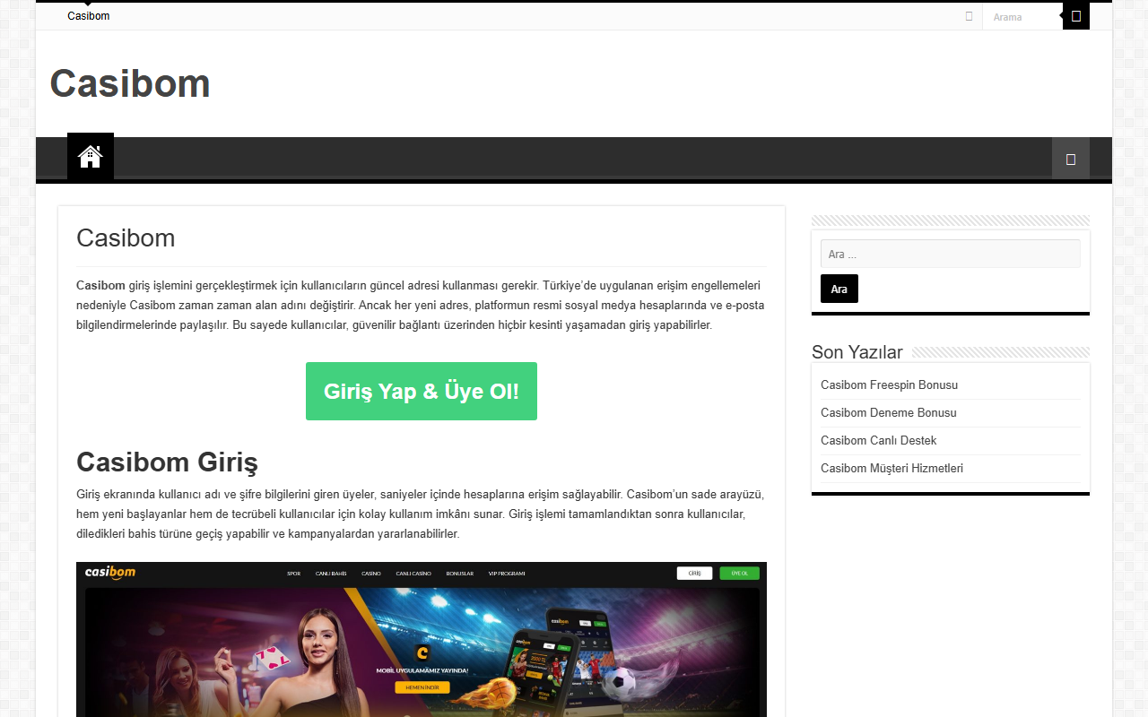 334casibom.com screenshot