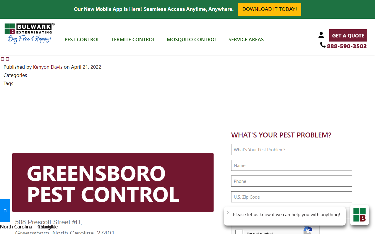 336bugfree.com screenshot