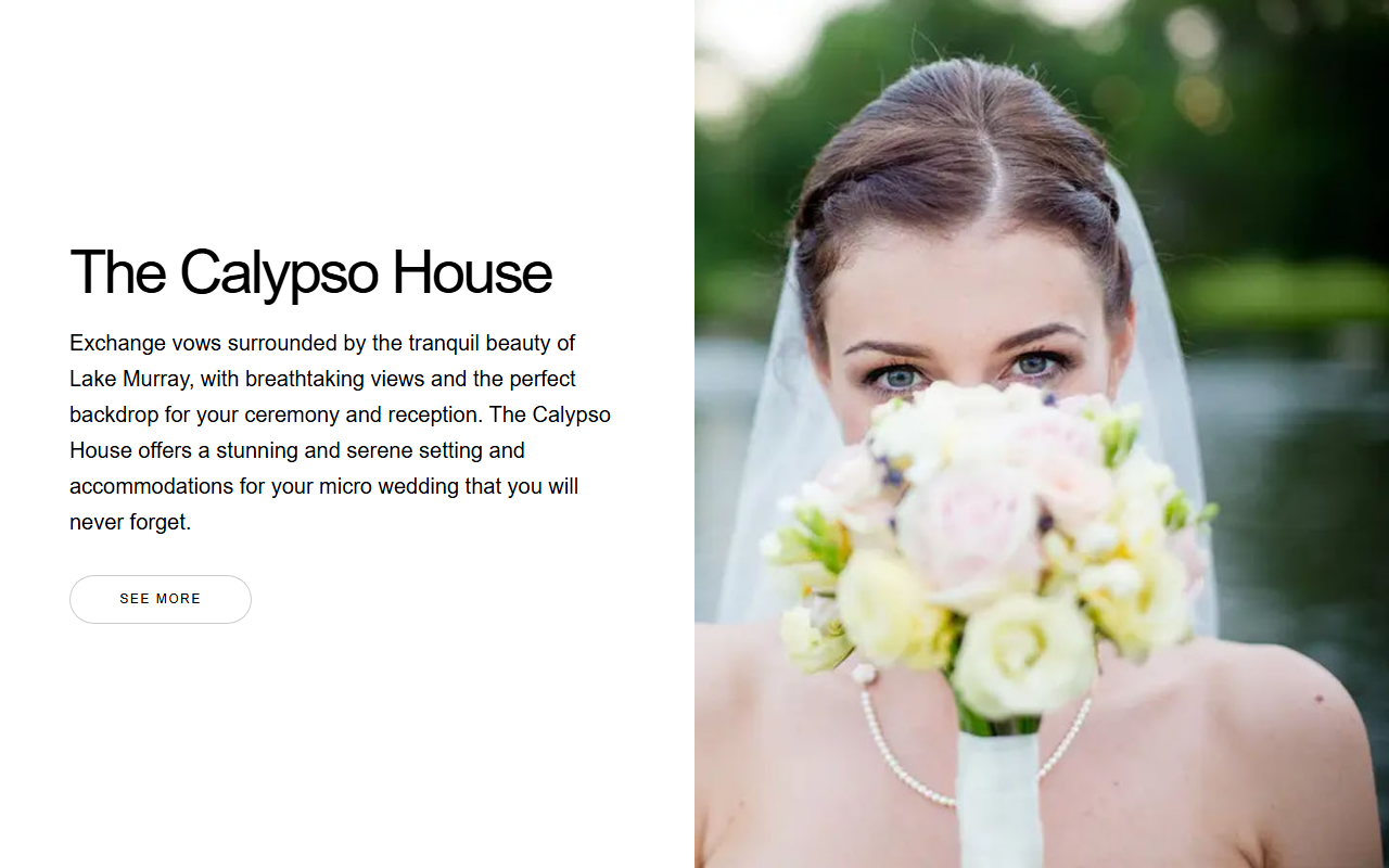 336calypso.com screenshot