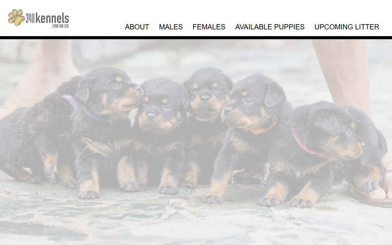 340kennels.com screenshot