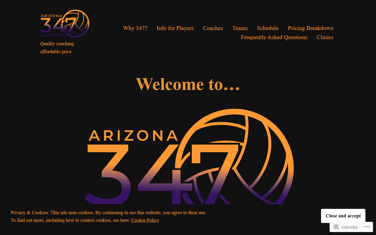 347volleyball.com screenshot