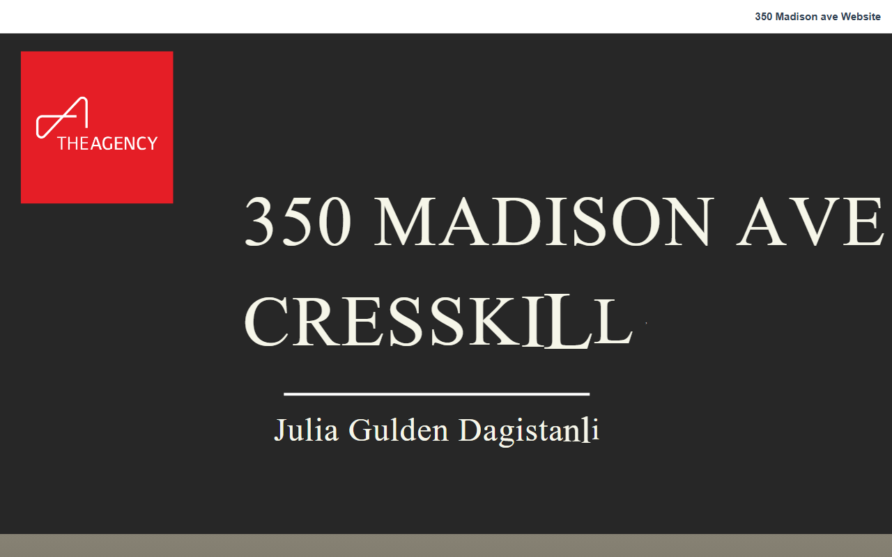 350madisonave.com screenshot