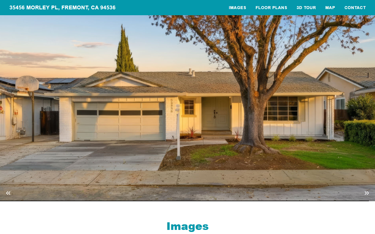 35456morley.com screenshot