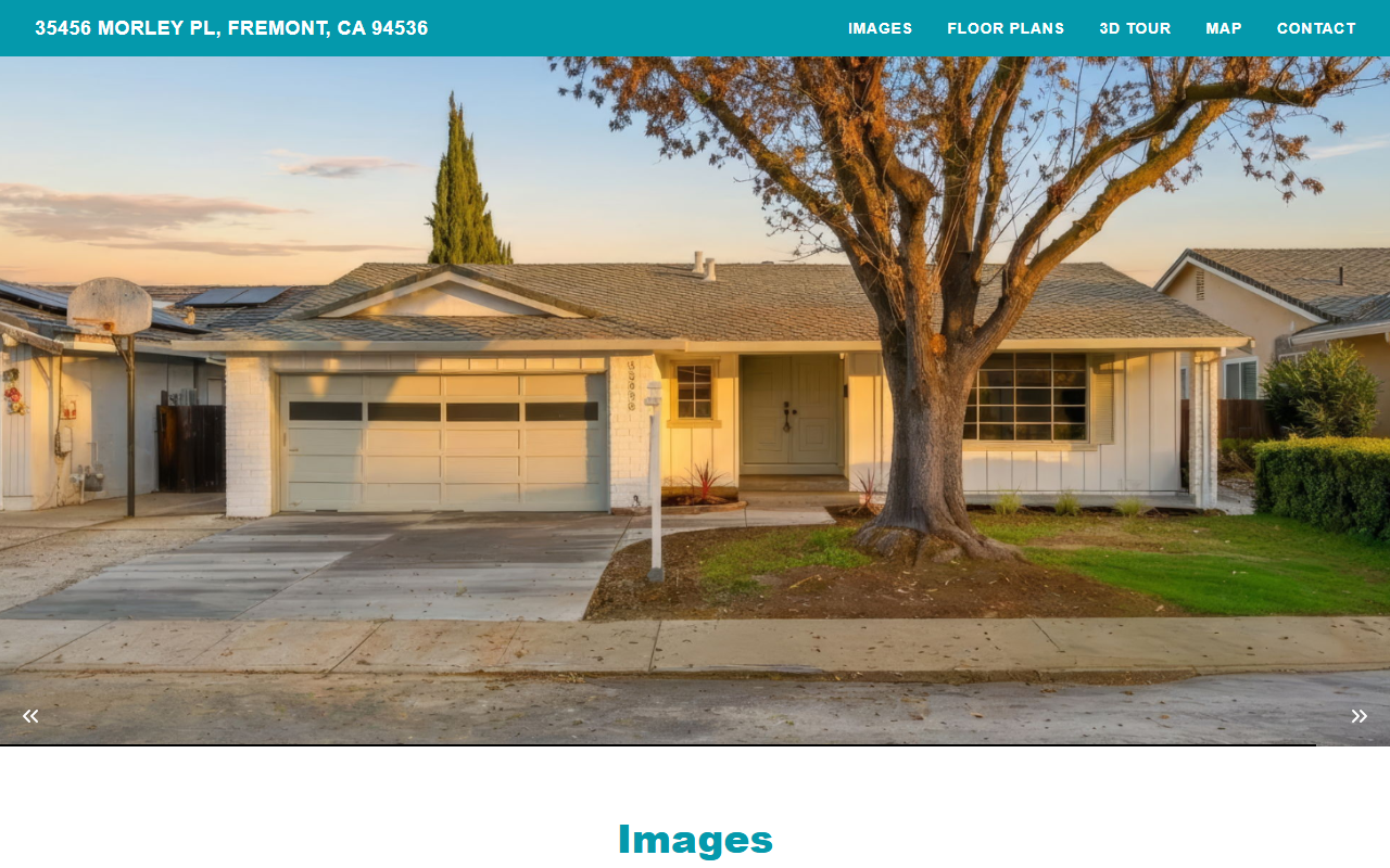 35456morleypl.com screenshot