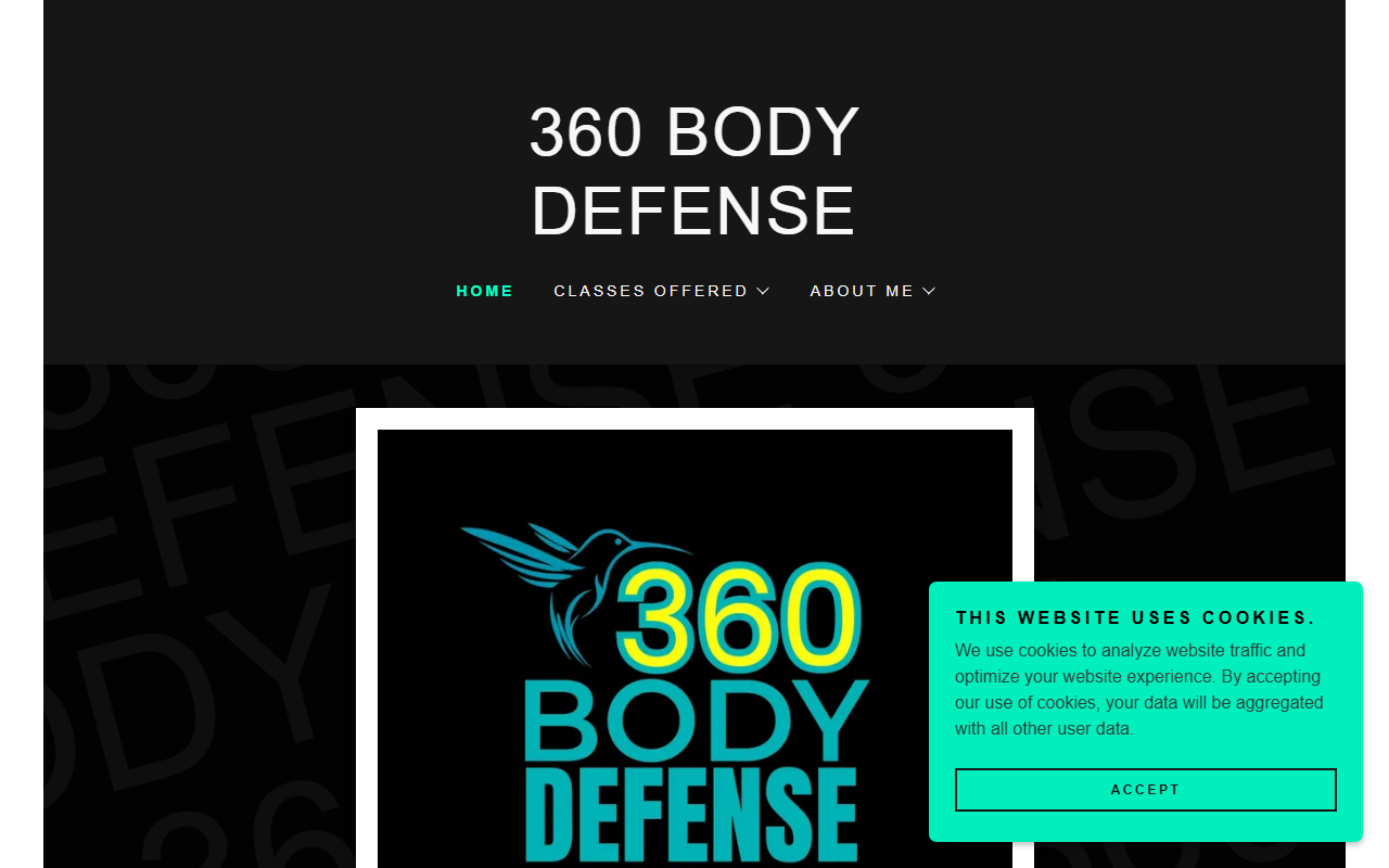 360bodydefense.com screenshot