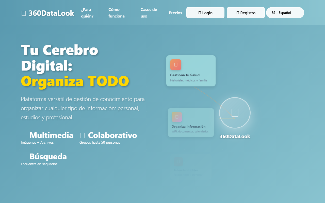 360datalook.com screenshot