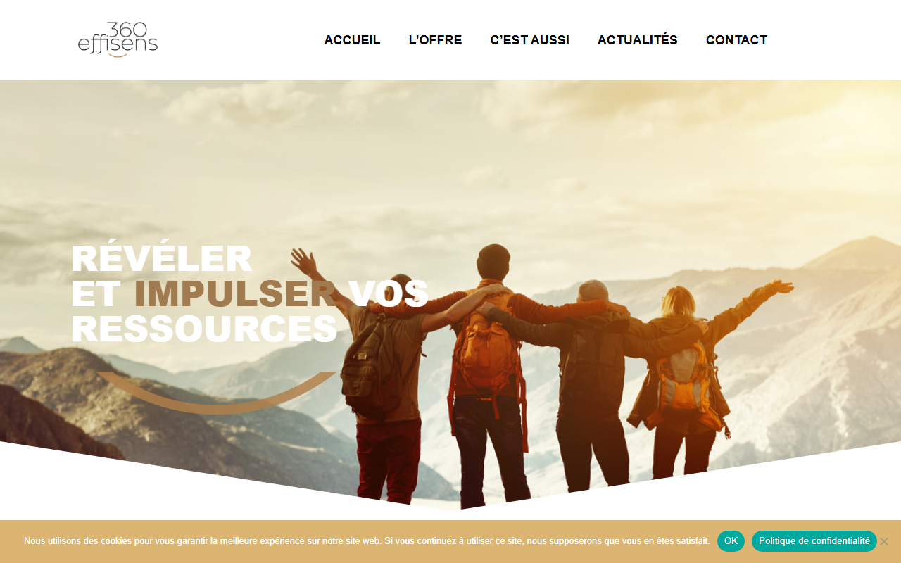 360effisens.com screenshot