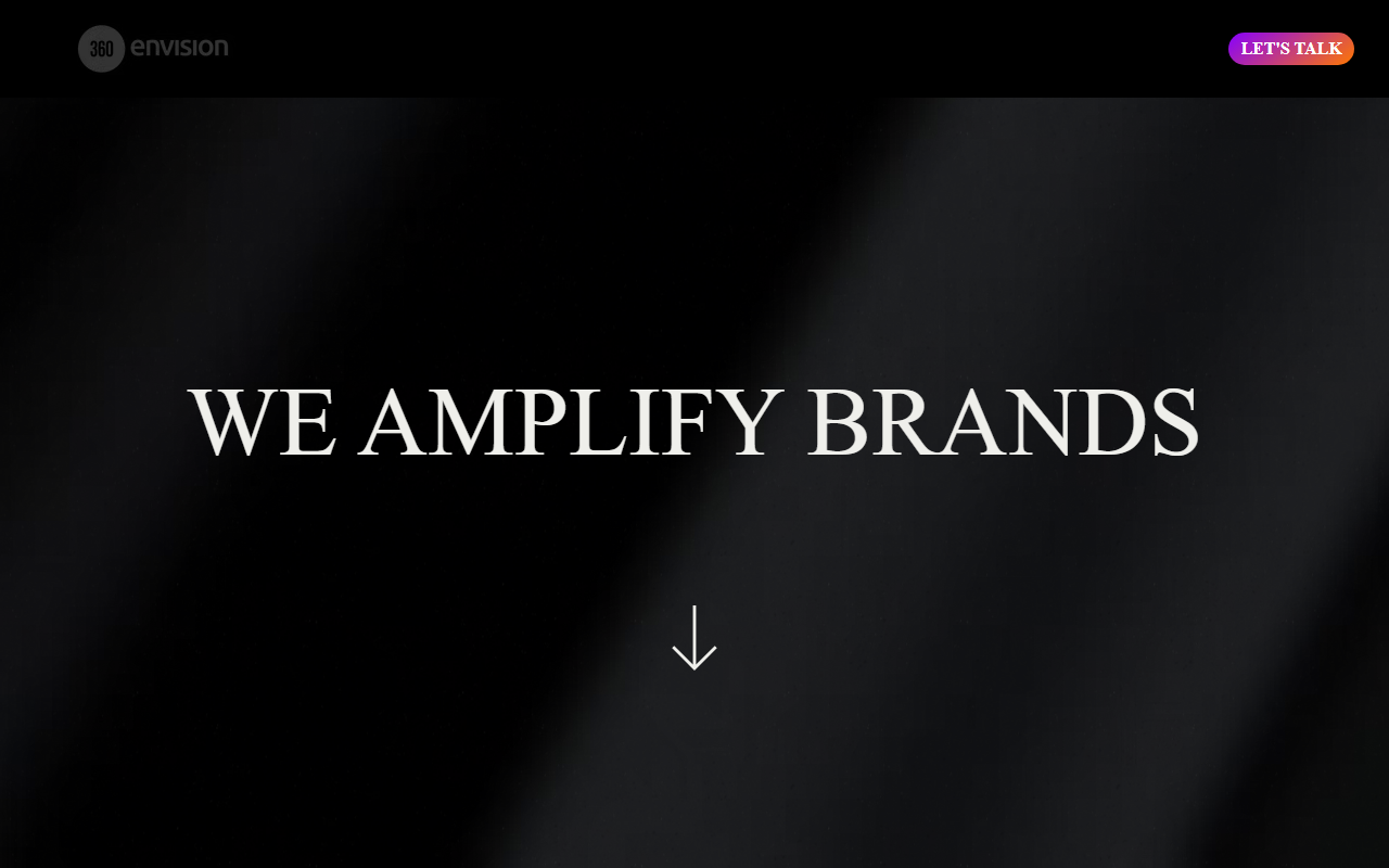 360envision.com screenshot
